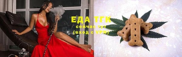 гидра Медногорск